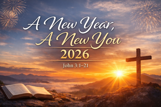 A New Year, A New You